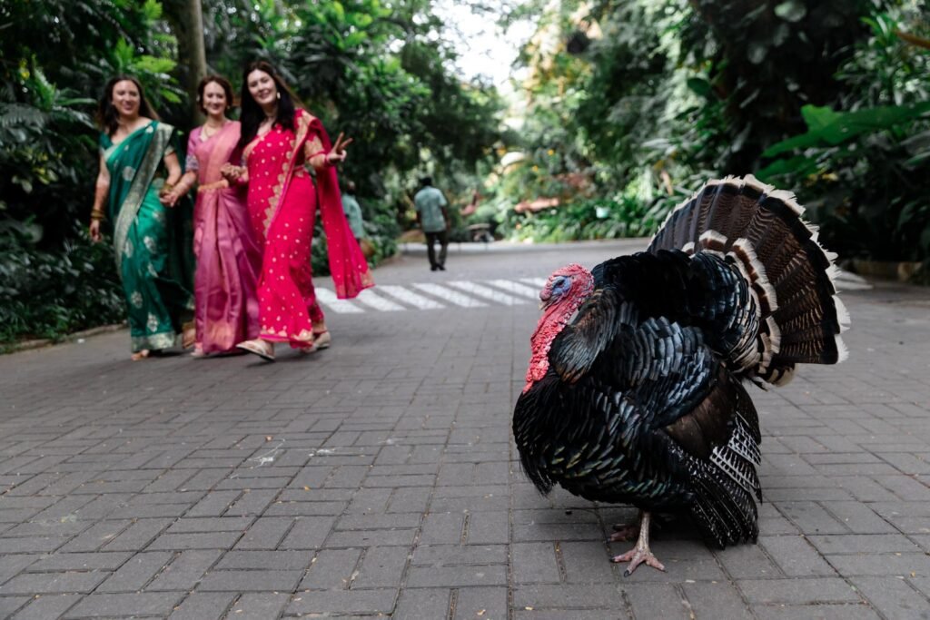 Taj Westend Bangalore Wedding Photographer