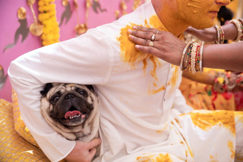 Best Candid Photographer Udaipur Bangalore